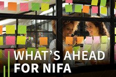 What’s Ahead for NIFA graphic.