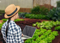 Female farmer is Inspecting the vegetable garden, courtesy of Adobe Stock. 