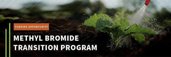 Funding Opportunity for the Methyl Bromide Replacement Program. Image courtesy of Adobe Stock. 