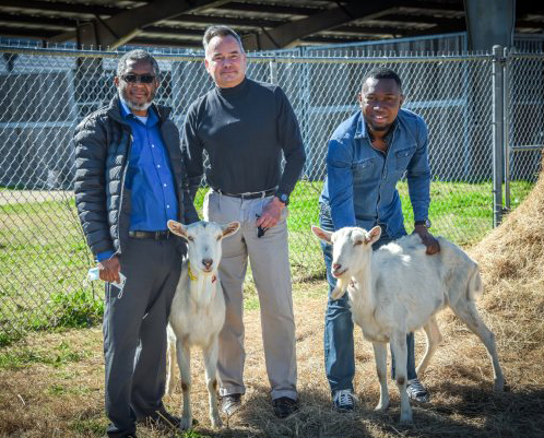 Dr. George McCommon, Dr. Saul Mofya and Dr. Kingsley Kalu, are researching treatment options for mastitis in goats, courtesy of FVSU.