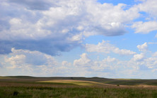 A view of the North American prairie, courtesy of Adobe Stock.