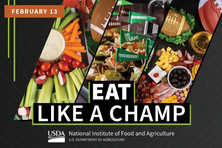 Eat Like a Champ graphic, courtesy of NIFA.