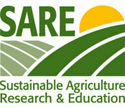 Sustainable Agriculture Research and Education (SARE) graphic logo