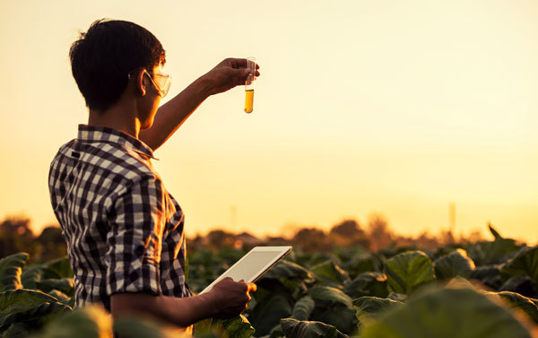 Funding opportunity for the NNF program. Student conducting plant research, courtesy of Adobe Stock.