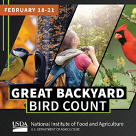 The Great Backyard Bird Count graphic, courtesy of NIFA. 