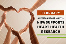 NIFA supports heart health research graphic, courtesy of NIFA.