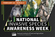 Invasive Species Week graphic, courtesy of NIFA.
