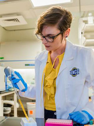 Dr. Kasie Raymann working in the lab. Photo courtesy of Kasie Raymann. 