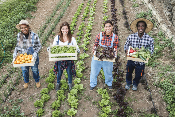 Diverse farmers holding baskets of vegetables in a farm field