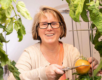 Robin Buell, whose research focuses on plant genomics and bioinformatics, working in a plant growth chamber. Photo courtesy of Dorothy Kozlowski/UGA.