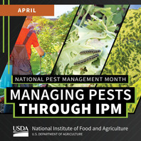 Managing Pest Through IPM graphic, courtesy of NIFA.
