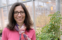 Shirley Micallef is investigating low-tech methods to improve food safety and health, courtesy of University of Maryland’s Kimbra Cutlip.