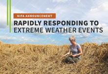 Rapidly Responding to Extreme Weather Events graphic, courtesy of NIFA.