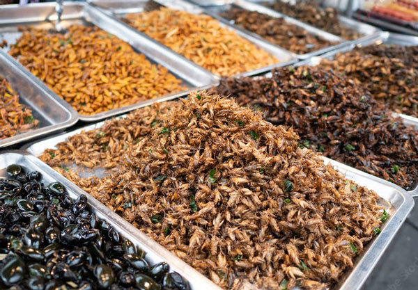 Fried crickets and other fried insects, courtesy of Adobe Stock. 