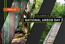 National Arbor Day graphic, courtesy of NIFA. 