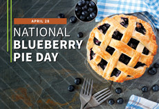 National Blueberry Pie Day graphic, courtesy of NIFA. 