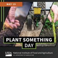 Plant Something Day graphic, courtesy of NIFA.