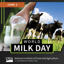 World Milk Day graphic, courtesy of NIFA.