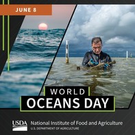 World Oceans Day graphic, courtesy of NIFA.