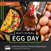 National Egg Day graphic, courtesy of NIFA.