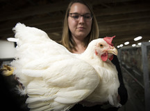 University of Arkansas Assistant Professor of Poultry Science Sara Orlowski