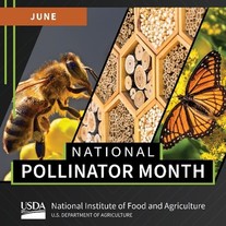 National Pollinator Month graphic, courtesy of NIFA.