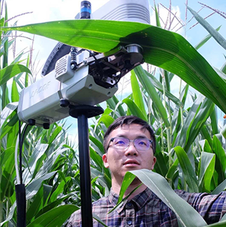 University of Illinois scientist Ziyi Li analyzing leaf tissue in the field. Photo courtesy of the University of Illinois.