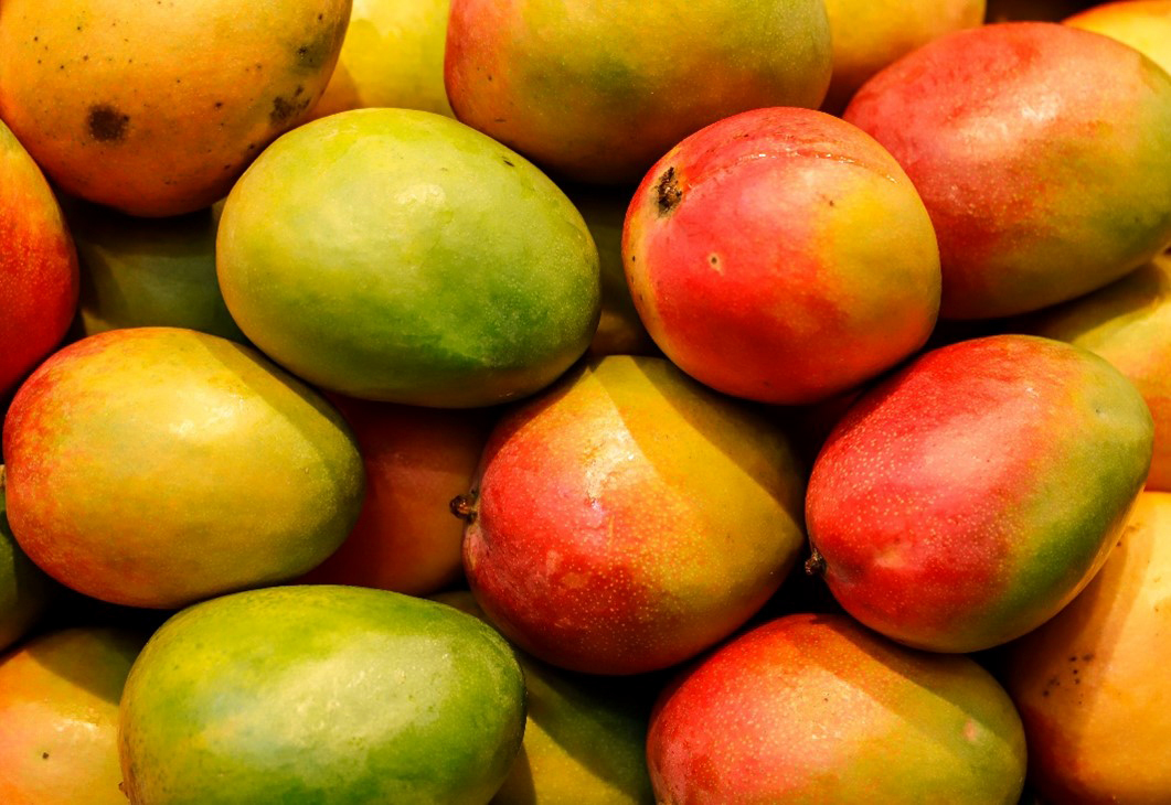 Mangos. Photo courtesy of Adobe Stock.