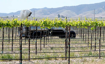 Autonomous sprayer courtesy of American Society for Enology and Viticulture-National Grape Research Alliance