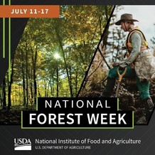 National Forest Week graphic, courtesy of NIFA.
