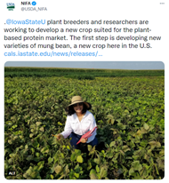 Tweet of the Week July 20 graphic - Iowa State University plant breeders