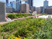 A garden on a city rooftop, courtesy of Adobe Stock.