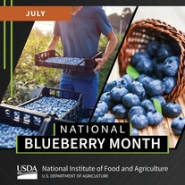 National Blueberry Month graphic, courtesy of NIFA.