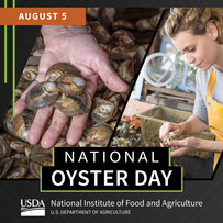 National Oyster Day graphic, courtesy of NIFA.