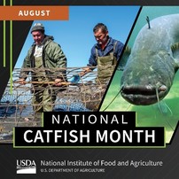 National Catfish Month graphic, courtesy of NIFA.