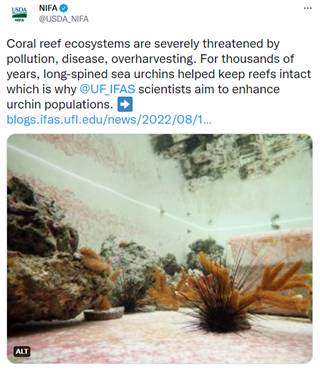 Tweet of the Week-Aug 24 2022- Coral reef ecosystems UFFAS