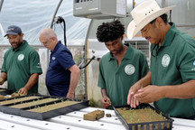 Members of the Mashantucket Pequot Tribal Nation and Extension educator transplanting hydroponic lettuce, courtesy of Remsberg Inc.