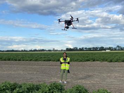 An NDSU researcher uses a UAV to assess foliar damage in dry pea caused by fusarium, courtesy of NDSU.