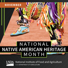 Native American Heritage Month NIFA graphic.