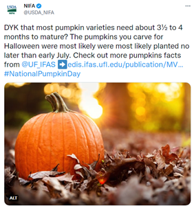 Tweet of the Week – Nov. 2 2022 – UF pumpkin facts