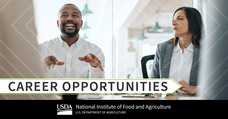 NIFA Career Opportunities graphic.