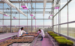 Texas A&M AgriLife research scientists will help identify CEA research priorities – LinkedIn.