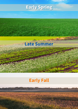 Seasonal Forage Slump infographic, courtesy of New Hampshire Agricultural Experiment Station.