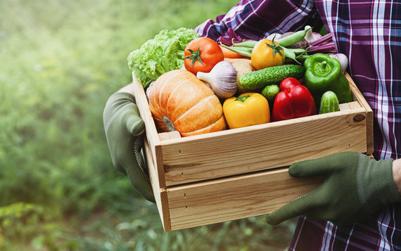 Farmer holding basket of produce