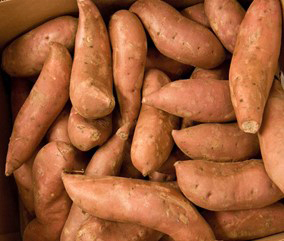 Tweet of the Week Jan 4 2023 Clemson sweet potato
