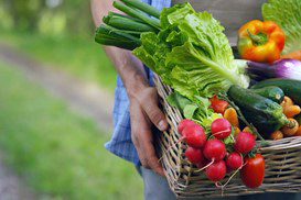 Farmer holding fresh vegetables in a basket. Courtesy of Adobe Stock.