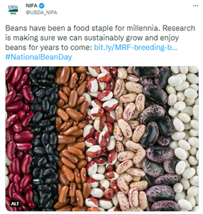 Tweet of the Week Jan 11 2023 beans