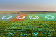 Smart agriculture graphic, courtesy of Adobe Stock.