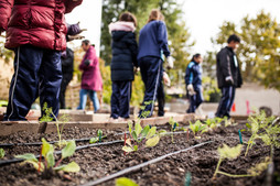 Young children in a community garden. Courtesy of Adobe Stock.
