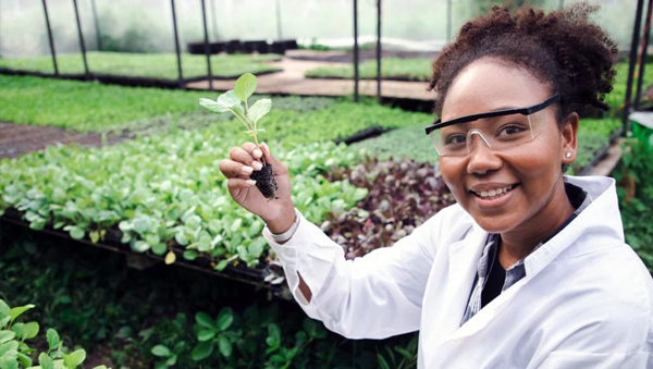 Graduate student working in greenhouse, courtesy of Adobe Stock.